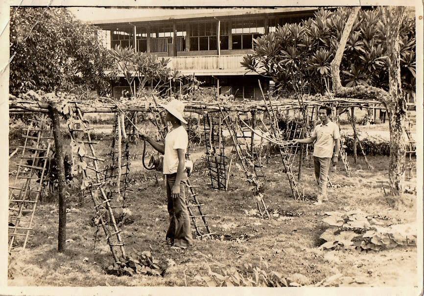 Marcelino Dechavez On the Farm