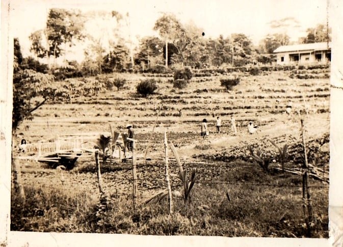 Marcelino Dechavez Terrace Image